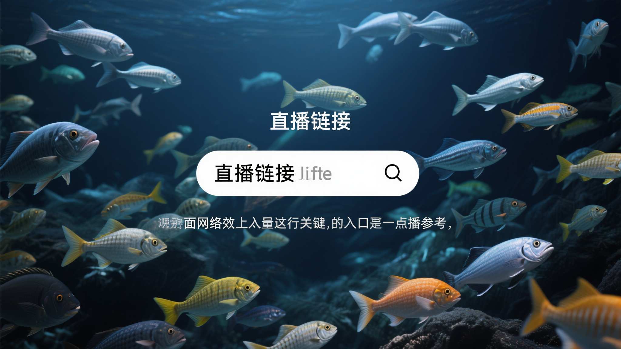 美加墨世界杯服务介绍